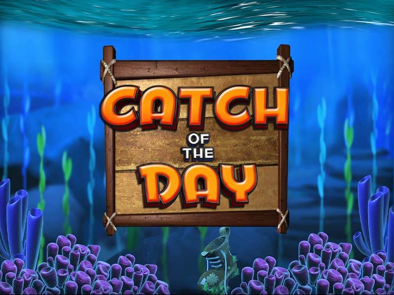 Catch of the Day - Baixar ej cassino