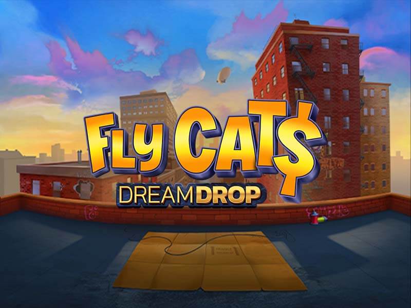 Fly Cats Dream Drop Guia